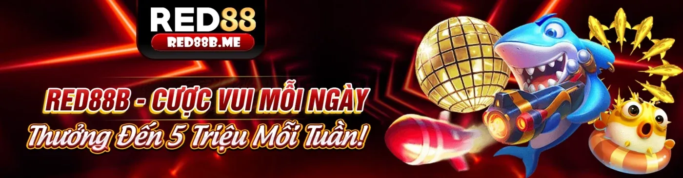 nn88n Blog - Nền tảng cá cược trực tuyến hàng đầu Việt Nam
