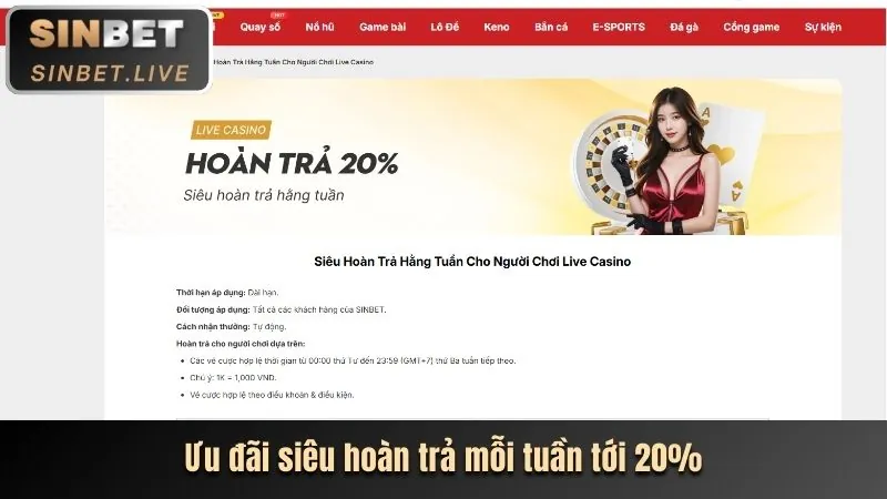 Chương Trình VIP NN88N